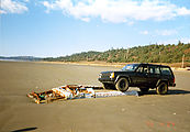 Moclips - Beach - Rusty Metal Buried in Sand - Jeep XJ