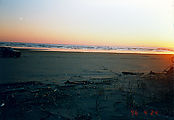 Moclips - Beach - Sunset