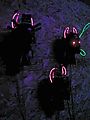 Elemental Otherworld - Heads Closeup