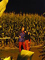 Lars - Laura - In Corn - Entrance