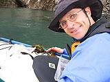 Kelp Crab with Seaweed Growing - On Back - Geoff