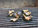 Dinner - Chitons - On BBQ