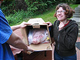 Pig Roast - Saturday - Pig in Box - Nancy