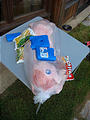 Pig Roast - Saturday - Keeping Cool with Frozen Veggies and French Fries