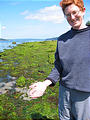 Tidepooing - Blackberry Point - Valdes Island - Laura Jellyfish