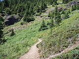 Mount Townsend Hike