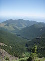 Mount Townsend Hike