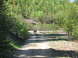 Wenatchee Forest Camping