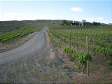 P20070519 Wineries Road Trip 098