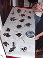 Dark Chocolate Tasting - Table
