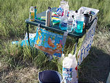 Minty Fresh Station
