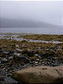 Queen Charlotte Islands - Haida Gwaii - NevaPhoto 034