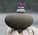 Gordon Islands - Rock Art - Sea Urchin Shell