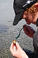 Gordon Islands - Eating Sea Urchin - Fresh Uni