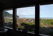 Rental House Rental House