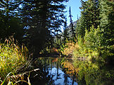 Colchuck Lake Trail - Stream