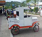 Los Guayabitos - Bicycle Car