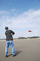 Beach - Kite - Geoff