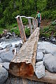 Summerland Trail - Log Bridge - Laura