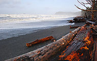 Beach - Waves - Red Logs (Photo by Laura)