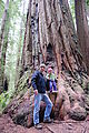 Redwood National Park - Stout Grove - Geoff - Lyra