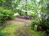 Burrows Island - CMT - Campsite - Camping