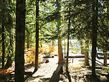 Cooper Lake - Campground