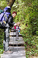 Boardwalk Hike - Laura - Lyra - Backpacking