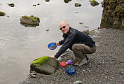 Beach - Tide Flats - Beach - Washing Dishes - Geoff