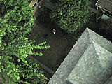 Aerial Photo - Backyard