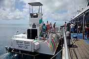 Whitsundays - Great Barrier Reef - Hardy Reef - Glass-Bottom Boat