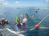 Whitsundays - Great Barrier Reef - Hardy Reef - Snorkeling - Lyra - Laura
