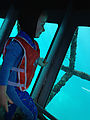 Whitsundays - Great Barrier Reef - Hardy Reef - Glass Bottom Boat - Lyra (Photo by Laura)