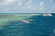 Whitsundays - Great Barrier Reef - Hardy Reef