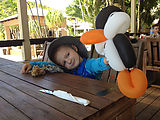 Whitsundays - Long Island Resort - Balloon Penguin - Lyra (Photo by Laura)