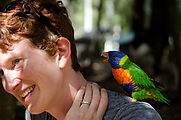 Townsville - Billabong Sanctuary - Bird - Rainbow Lorikeet - Laura