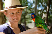 Townsville - Billabong Sanctuary - Bird - Rainbow Lorikeet - Liz
