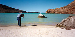 1st Beach: Laura Photographing Dead Pufferfish (Isla La Partida)