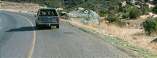 Ensenada to San Felipe on Mexico 3 - Crocodile Rock (12/29/2001 12:47 PM)