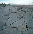 Ensenada to San Felipe - Lake Diablo - Dry Lakebed - Cracked Mud (12/29/2001 4:07 PM)