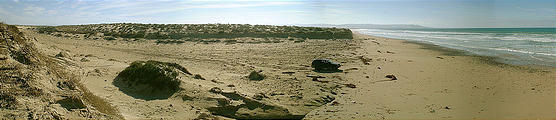 Malarrimo Beach (panorama) (1/2/2002 2:53 PM)