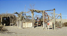 Malarrimo Beach - Driftwood Structures (01/02/2002)