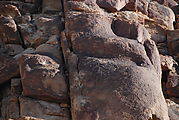 Cañon Guadalupe Area - Petroglyphs