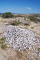 Playa Morro Blanco - Bahía San Rafael - Dumped Shells