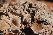 Mine with Shell Fossils near Playa Morro Blanco, Bahía San Rafael 
