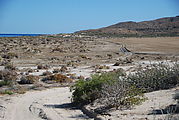 Playa Morro Blanco - Bahía San Rafael - Beach - Mud
