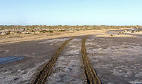 Estero Percebú - Shell Island - Mud