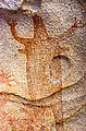 Mesa el Carmen - Cave - Cave Paintings - Pictographs