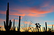 20140207 173204 P5OJ3 N0292787W1141507 - Baja - Cactus Forest - Sunset