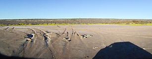 Boca Grande - Tracks in the Mud - Playa